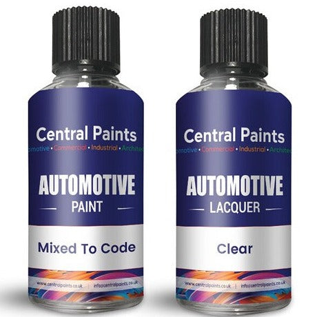 Central Paints 30ML Touch Up Bottle & Lacquer To Registration Number