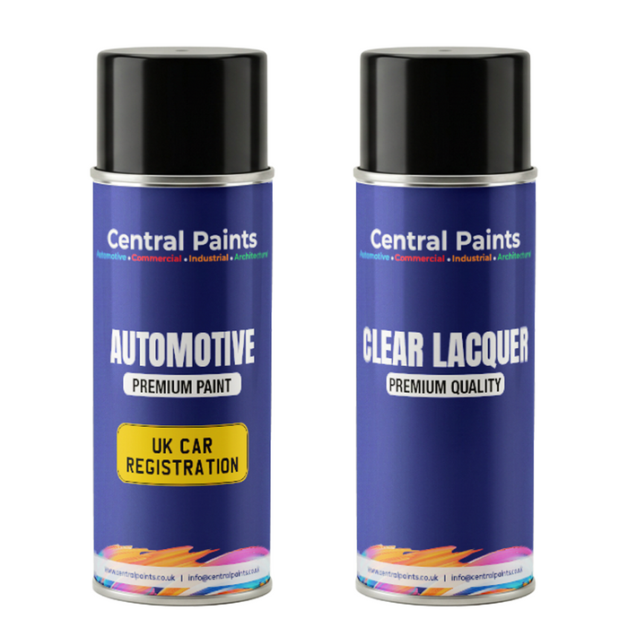 Central Paints Basecoat Aerosol & Lacquer Kit To Registration Number