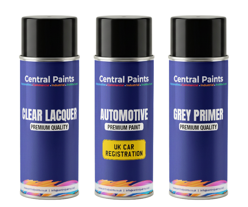 Central Paints Basecoat Aerosol & Lacquer & Primer Kit To Registration Number