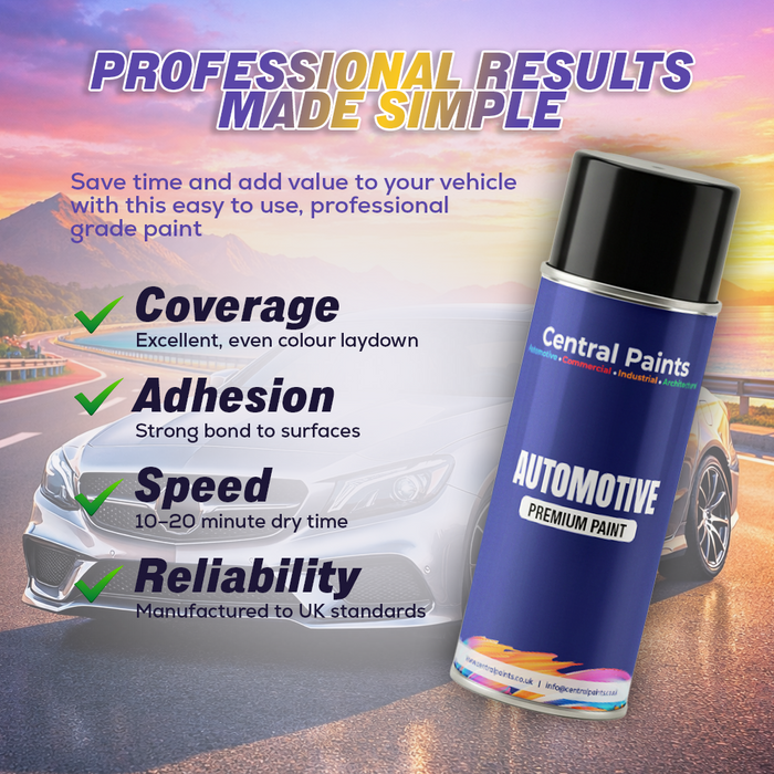 Central Paints Basecoat Aerosol To Registration Number