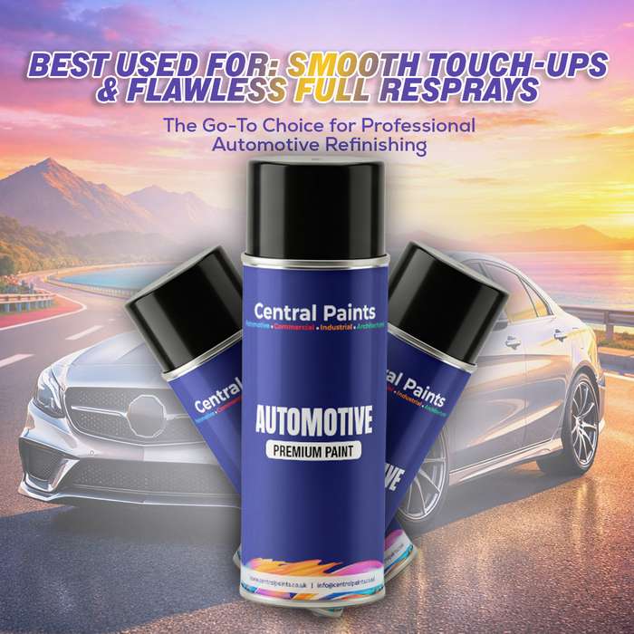 Central Paints Basecoat Aerosol To Registration Number